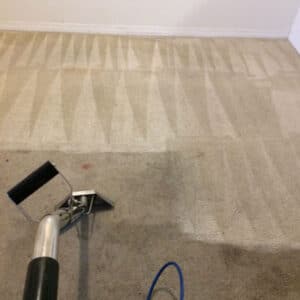 Limpieza de alfombras en Coconout Grow